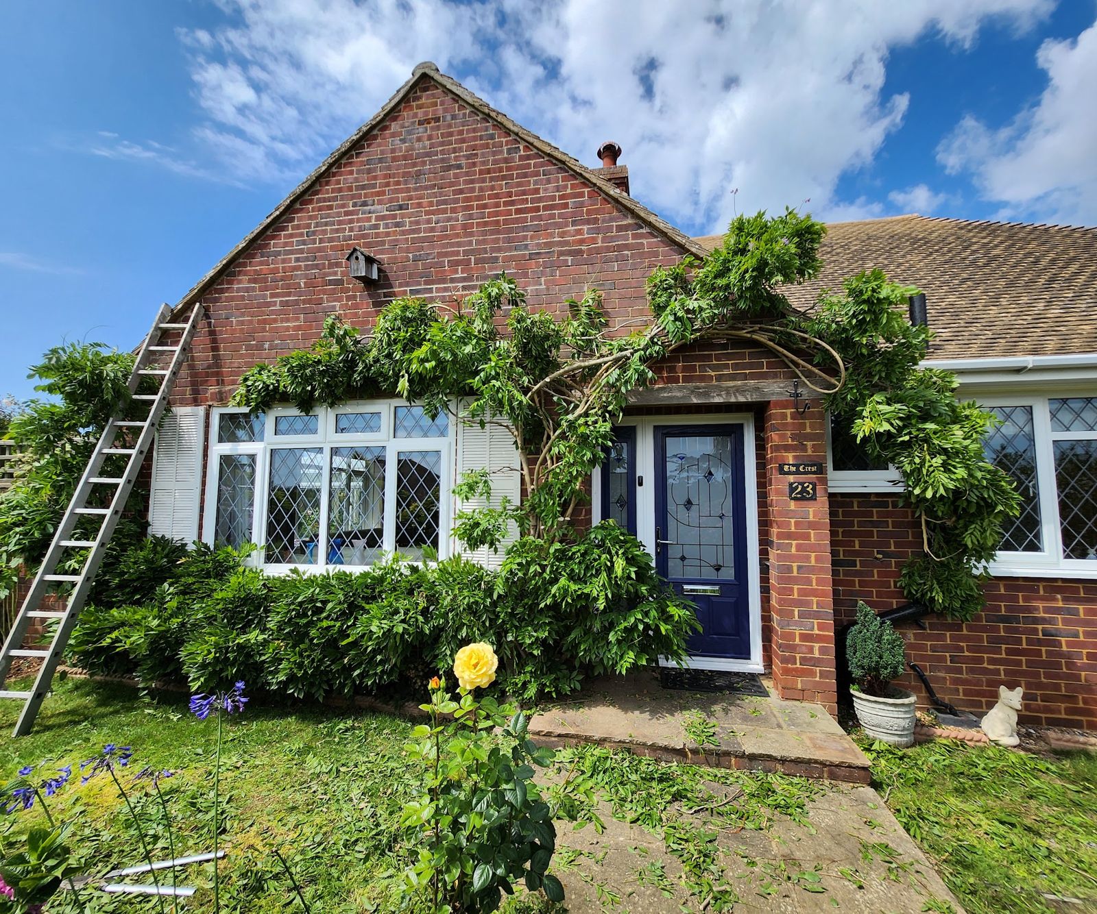 A brick bungalow with a trained climber over the porch and a ladder alongside